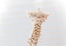 Przeciążenie kręgosłupa