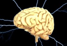 Zapalenie opon mózgowych