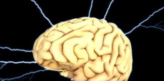 Zapalenie opon mózgowych