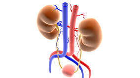 Zespół nadreaktywnego pęcherza