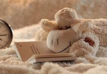 Jak wybrać maskotkę dla dziecka?