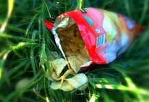 Co można zamiast chipsów? Co można zamiast chipsów?