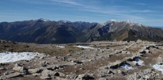 Jak zapobiec spłaszczeniu główki?