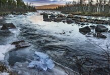 Dlaczego śmierdzę? Dlaczego śmierdzę?