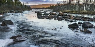 Dlaczego śmierdzę?