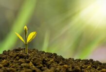 Jak stymulować rozwój 4 miesięcznego niemowlaka?