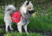 Jakie polecacie nosidełko dla niemowlaka? Jakie polecacie nosidełko dla niemowlaka?