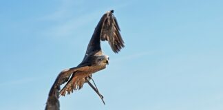 Kiedy wymiana dyszy w drukarce 3D?