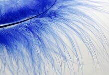 Czym się rożni pióro wieczne od kulkowego? Czym się rożni pióro wieczne od kulkowego?