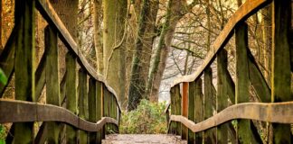 Co na słodki stół dla dzieci?