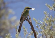 Czy warto pisać piórem?