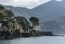 Ile kosztuje 1 tona miału? Ile kosztuje 1 tona miału?