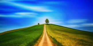 Jak dziecko przygotowuje się do chodzenia?