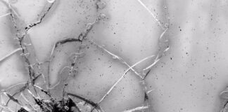 Co oznacza f1 f2 f3 w dowodzie rejestracyjnym?