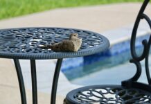 Jaka wodą w basenie dla niemowlaka?