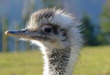 Jak pisać szybciej?