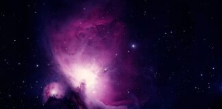 Jaka mata do nauki raczkowania?