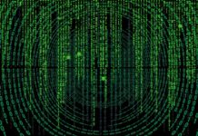 Skąd nazwa cymbergaj? Skąd nazwa cymbergaj?