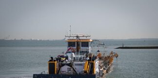 Czy pchacz jest zdrowy?