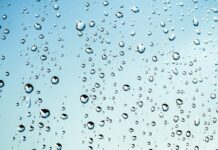 Czy mokre chusteczki można Spuszczać?