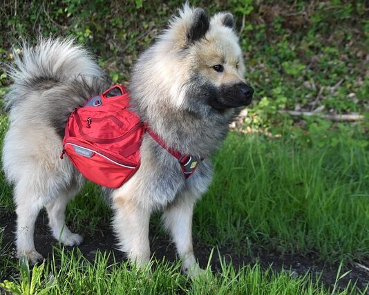 Jakie nosidełko dla niemowlaka fizjoterapeuta? Jakie nosidełko dla niemowlaka fizjoterapeuta?