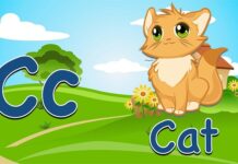 Czy fiszka jest bezpieczna? Czy fiszka jest bezpieczna?