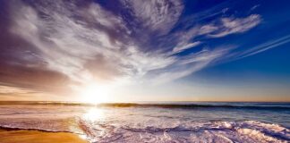 Jak zrobić piankę z galaretki?