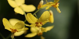 Czy niemowlę powinno w domu mieć skarpetki?