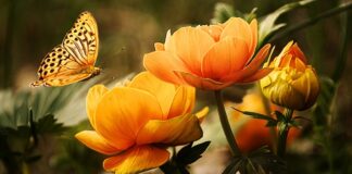 Co do mycia butelek?