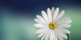 Czy roczne dziecko może jeść płatki kukurydziane?