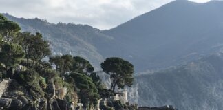 Ile kosztuje jedna wywrotka piachu?